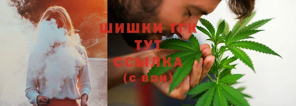 ГАЛЛЮЦИНОГЕННЫЕ ГРИБЫ Аркадак
