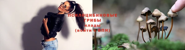 хмурый Алзамай