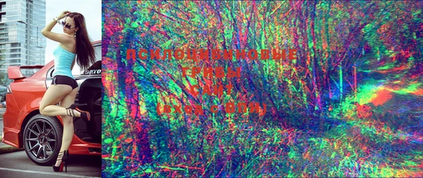 марихуана Осинники