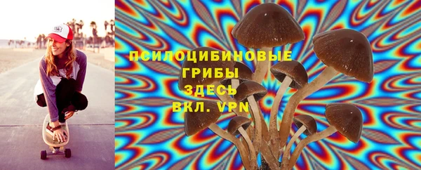 круглые Осташков