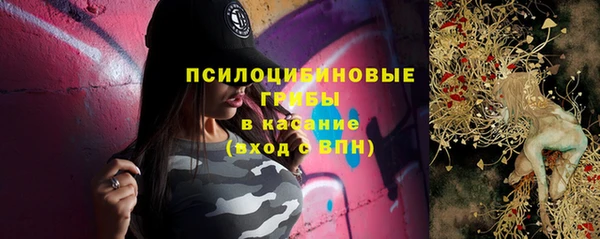 хмурый Алзамай