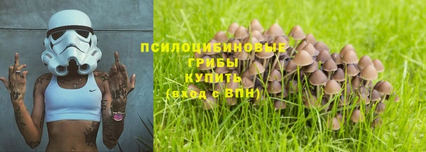 молекула духа Алексеевка