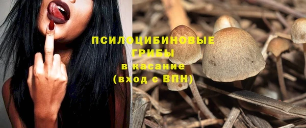 хмурый Алзамай