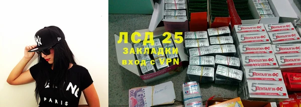 хмурый Алзамай